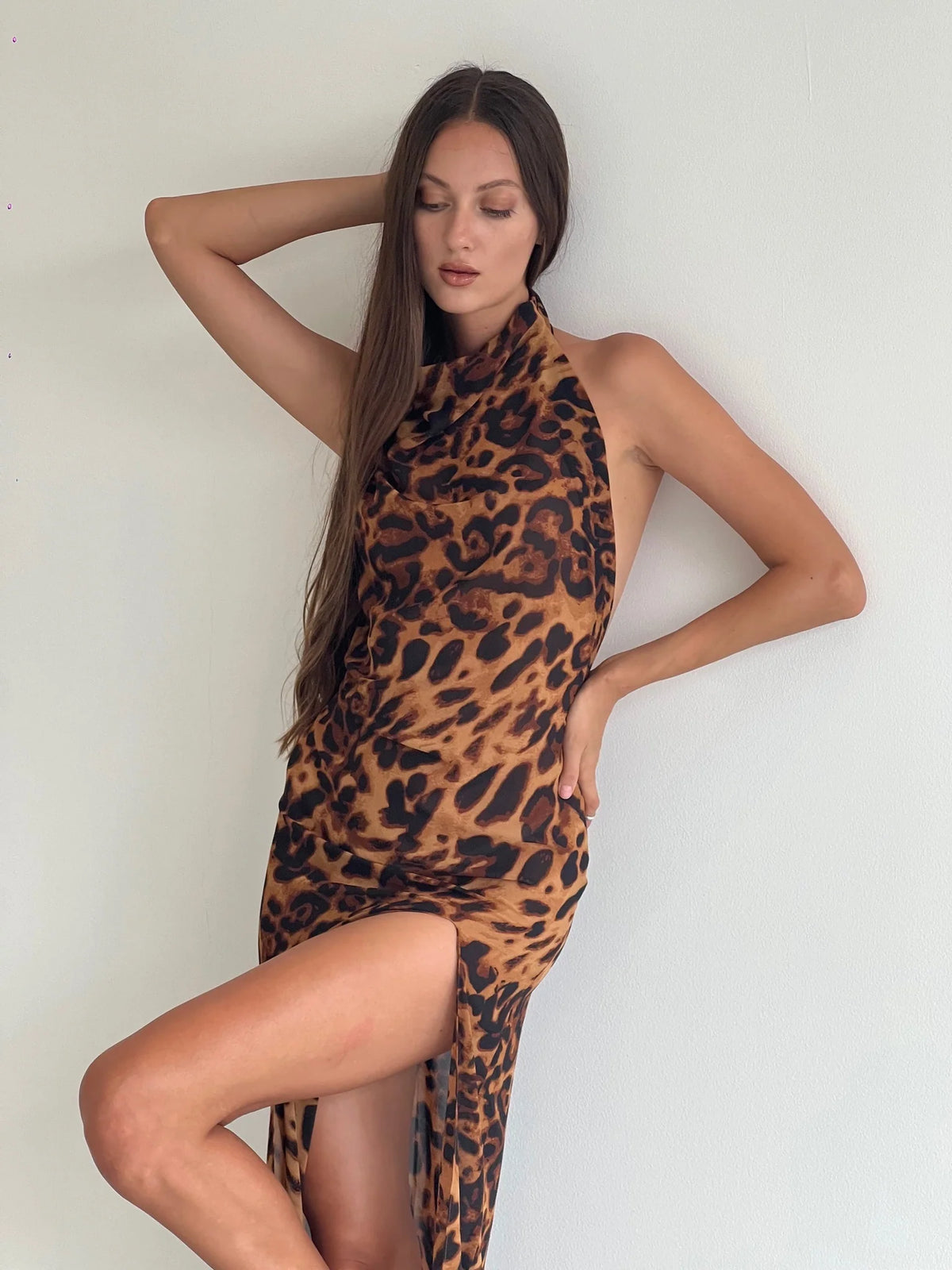 Dress Loren Brown Zebra